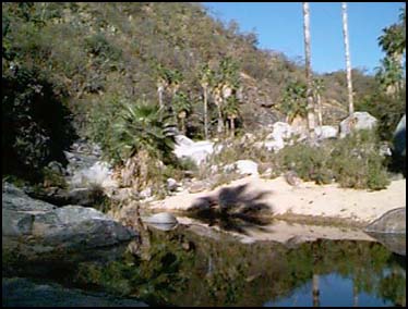 PALMILLA, SJDC, MEXICO -- The morning sun sneaks into the arroyo about 8:00 am while our overnight campsite remains in the shadows.