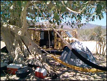 PLAYA LOS FRAILES, MEXICO -- Playa Los Frailes can accomodate a good number of campers, but there is one campsite that is most desired-- the one with the tree.