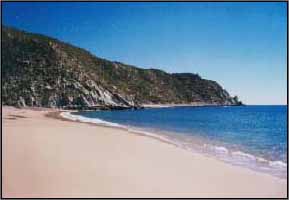 PLAYA LOS FRAILES, MEXICO -- This is a portion of the beach at Los Frailes looking north at Cabo Los Frailes, which provides shelter for mooring boats and small fishing craft from the prevailing winter/spring northerly winds. On the other side of Cabo Los Frailes--a mile, as the fish swims--is the reef at Cabo Pulmo.