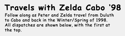 Travels with Zelda Cabo '98