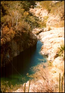 SAN JOSE DEL CABO, MEXICO -- Pools of water like this can be found by the adventurous hiker in many of the arroyos that are carved out of the mountains all over the Baja.