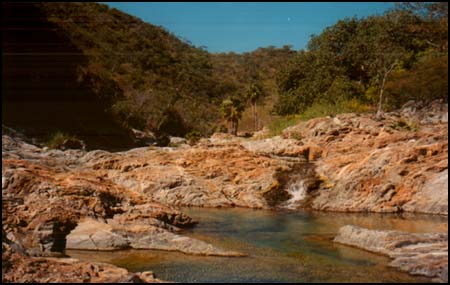 SAN JOSE DEL CABO, MEXICO  --  After an hour of hiking this arroyo a short distance from San Jose del Cabo, Jay and I decided to refresh ourselves for a quick swim in this pool of incredibly clear, cool pool of agua dulce.