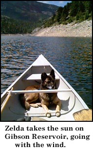 Zelda takes the sun on Gibson Reservoir, going with the wind