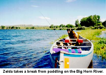 Zelda takes a break from paddling on the Bighorn River.