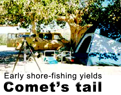 Early shore-fishing yields comet's tail. In the Baja, finding a vacant campsite with a shade gree is as rare as a BWCA island campsite loaded with stacked firewood.