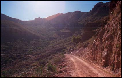 The road to San Francisco de la Sierra snakes between two giant arroyos, precariously clinging to the mountainside. On this road are herds of goats, mules, and, of course, cows.