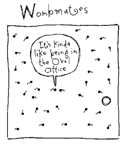 Wombmates