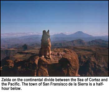 Zelda on the continental divide between  the Sea of Cortez and the Pacific. The town of San Francisco de la Sierra is half-hour below.