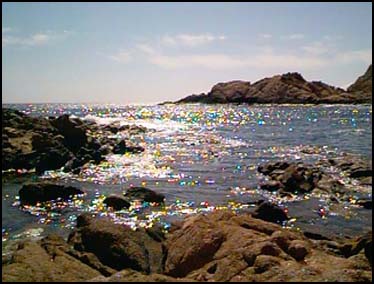 SAN JOSE DEL CABO, MEXICO (SUPER BOWL SUNDAY) -- My favorite dive spot in the world. Lots of fish and sea life. Can be very dangerous to the stubborn or foolish.