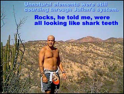 Unnatural elements were still coursing through his system. Rocks, he told me, were all looking like shark teeth