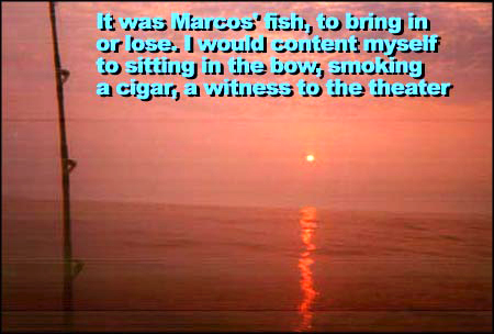 It was Marcos' fish, to bring in or lose.  I would content myself to sitting in the bow, smoking a cigar, a witness to the theater