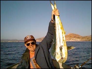 PALMILLA, SAN JOSE DEL CABO, MEXICO -- Jay Crawford holds up a splendid dorado caught on a little fresh mackerel employing the Kohlsaat mackerel harness.