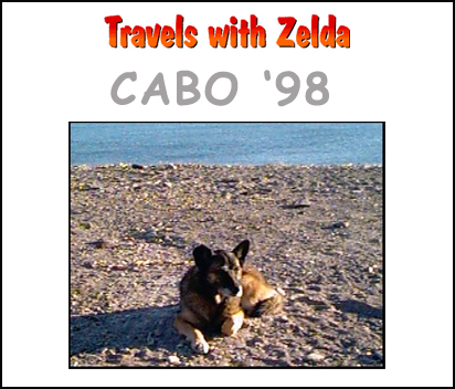 Travels with Zelda '98