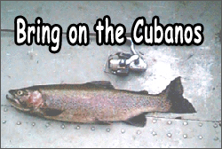 Bring on the Cubanos