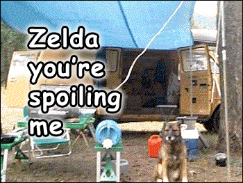 Zelda you spoil me
